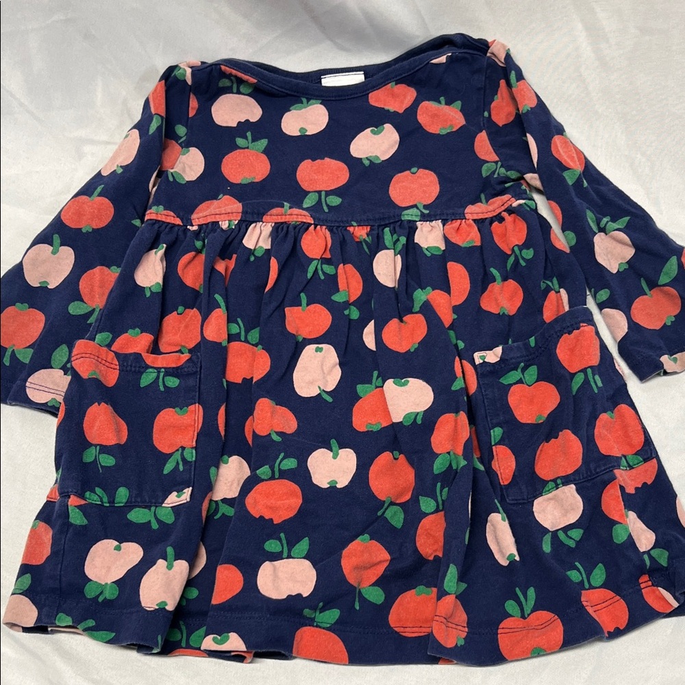 Hanna Andersson Blue Dress Apple Design  Long Sleeves Pockets Size 2T